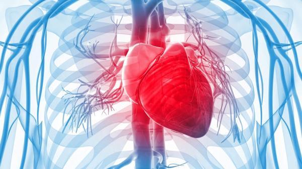 CRT-P ve CRT-D (Kardiyak Resenkronizasyon Tedavisi) Kalp Yetmezliği Tedavisi Amacıyla Kullanılan Kalp Pilleri veya ICD’ler Hangi Hastalıkların Tedavisinde Kullanılır?