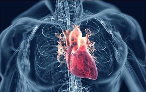 Geçici Kalp Pilleri Nasıl Takılır?
