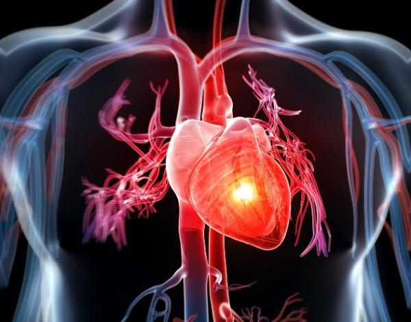 Kalıcı Kalp Pili Nedir, Ne İşe Yarar?