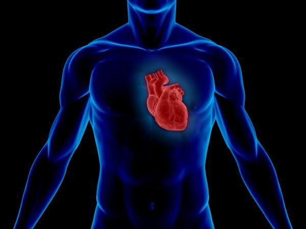 Leadless (Eektrotsuz) Kalp Pilleri Nedir ve Ne İşe Yarar?